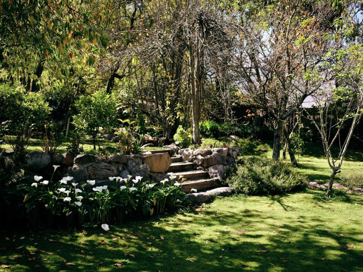 אורובמבה Andenia Boutique Hotel, Sacred Valley מראה חיצוני תמונה