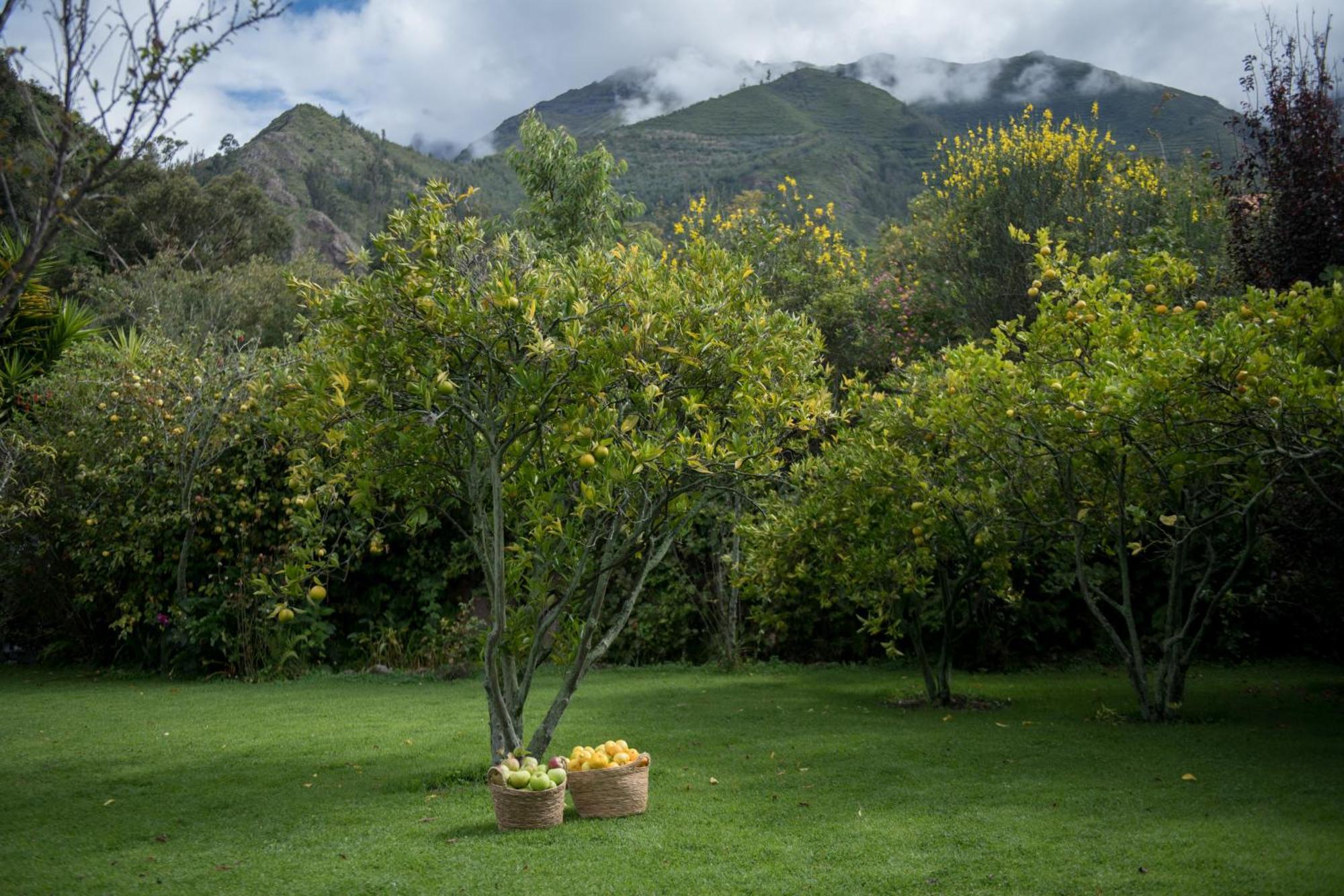 אורובמבה Andenia Boutique Hotel, Sacred Valley מראה חיצוני תמונה