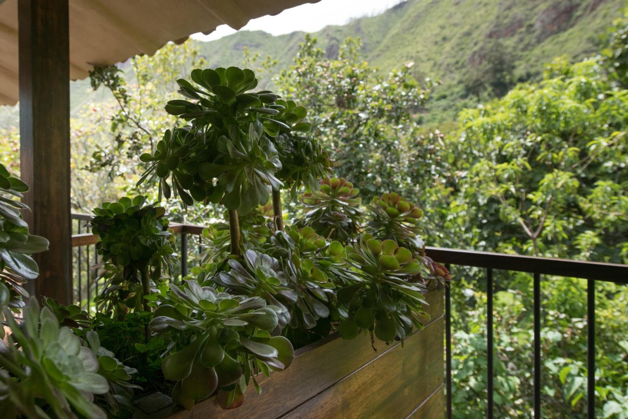 אורובמבה Andenia Boutique Hotel, Sacred Valley מראה חיצוני תמונה